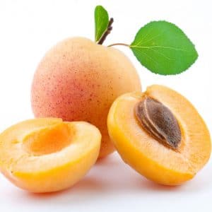 Mango Apricot