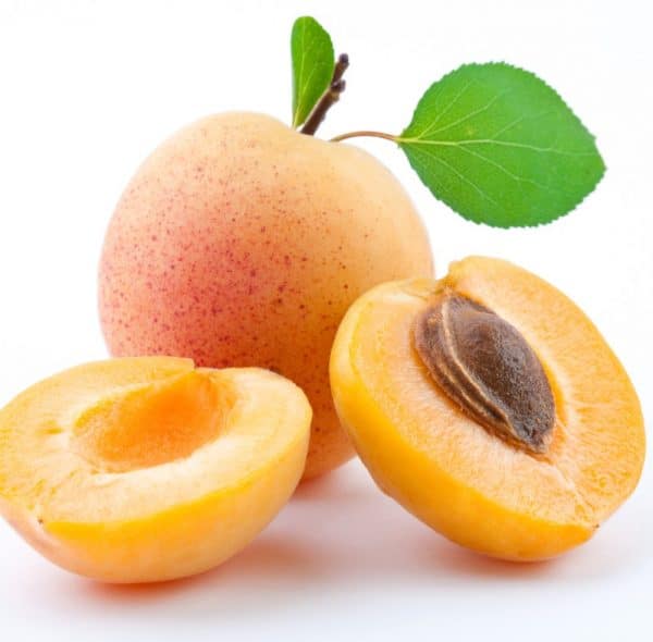 Mango Apricot Vegas Vape